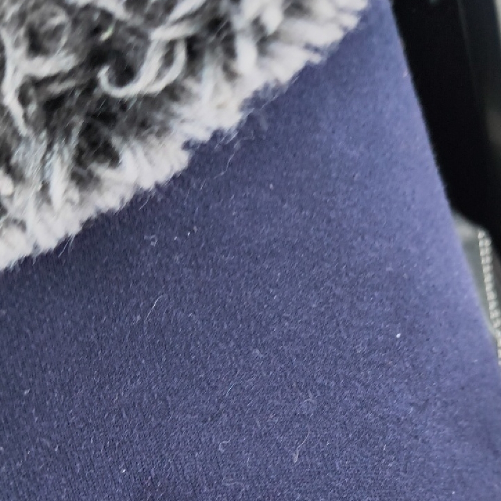 Faux Fur and Navy Blue Garment